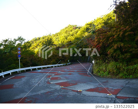 秋の紅葉が始まった道路 133522025