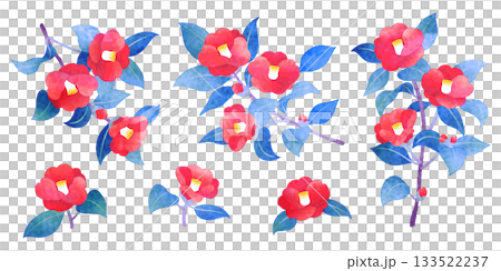 手繪水彩山茶花插圖套裝 手繪水彩山茶花插圖套裝 133522237