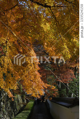 Stroll along the slope 紅葉の色づき始めた回遊式の日本庭園の坂道を散歩する光景 Stroll along the slope 紅葉の色づき始めた回遊式の日本庭園の坂道を散歩する光景 133524150