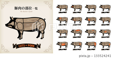 豚肉の部位の名称一覧　日本語表記 133524241