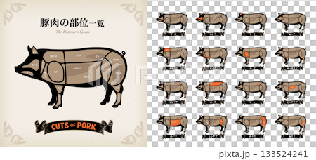 豚肉の部位の名称一覧　日本語表記 133524241