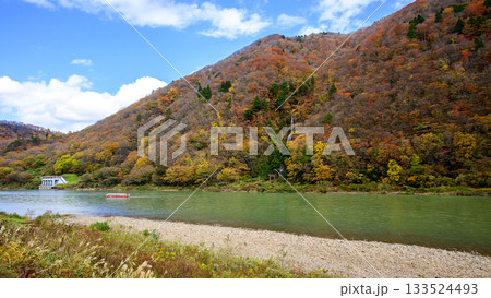 晩秋の最上峡　白糸の滝を通過する舟下り船　山形県 133524493