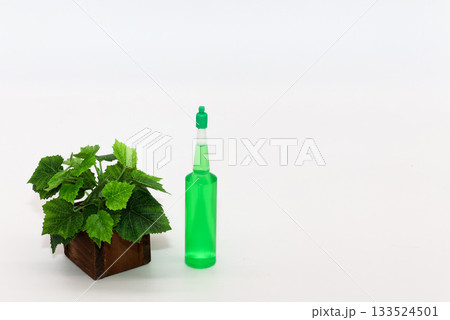 白い背景に置かれた観葉植物と液体の栄養剤 133524501