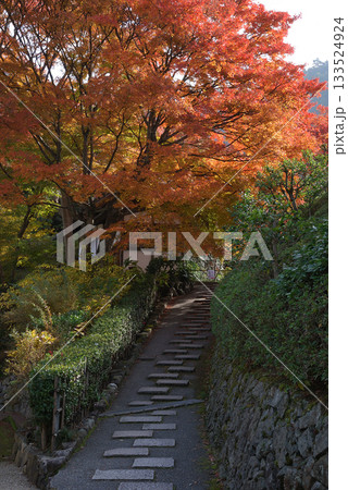 Stroll along the slope 紅葉の色づき始めた回遊式の日本庭園の坂道を散歩する光景 133524924