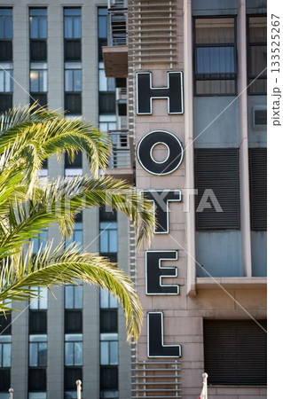 Front side of hotel with palm tree 133525267