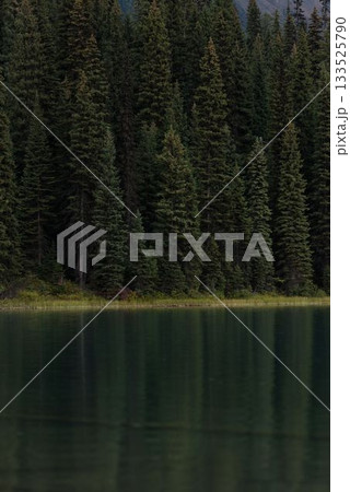 Trees and lake at countryside 133525790