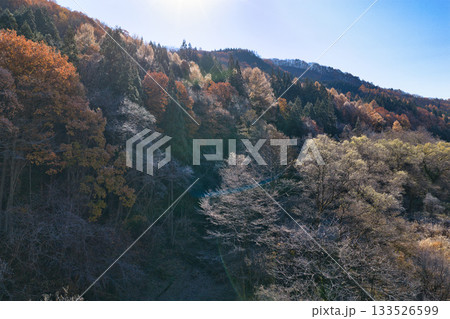 珍しい霧氷と紅葉の競演 長野県白馬村(ドローンによる空撮) 珍しい霧氷と紅葉の競演 長野県白馬村(ドローンによる空撮) 133526599