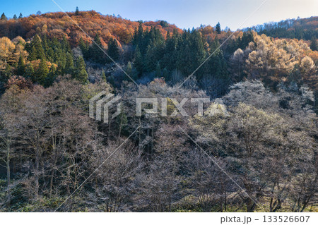 珍しい霧氷と紅葉の競演　長野県白馬村（ドローンによる空撮） 133526607