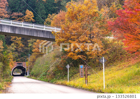 251113岩滝トンネルg001 133526801