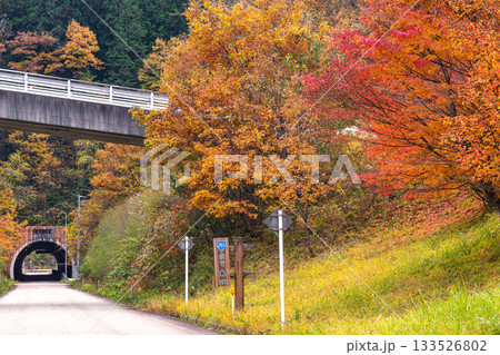 251113岩滝トンネルg002 133526802