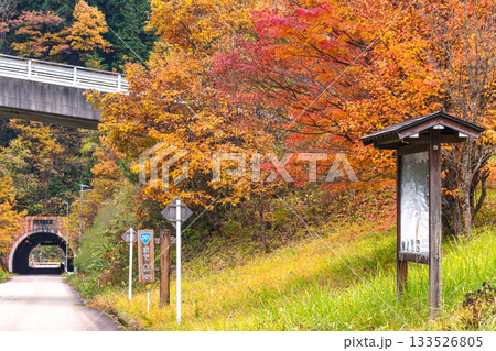 251113岩滝トンネルg007 133526805