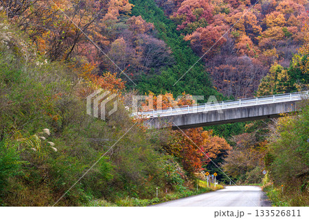 251113岩滝トンネルg015 133526811