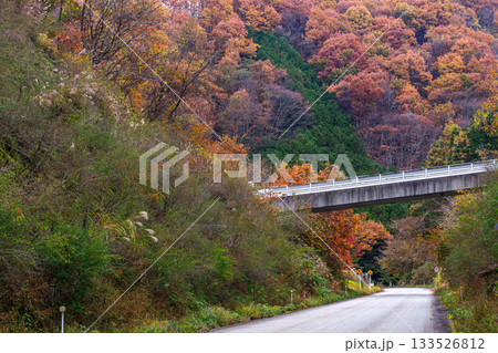 251113岩滝トンネルg016 133526812