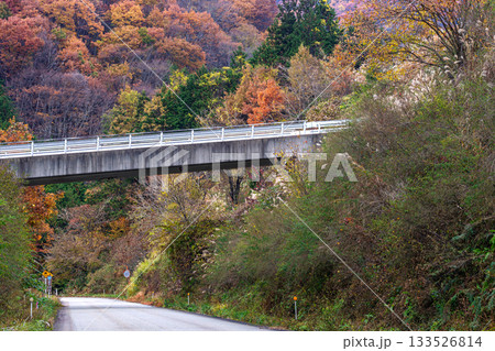 251113岩滝トンネルg018 251113岩滝トンネルg018 133526814