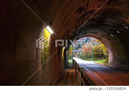 251113岩滝トンネルz053 133526824