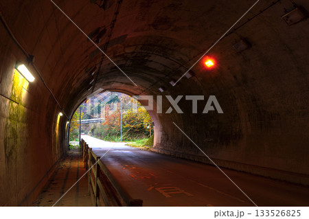 251113岩滝トンネルz054 133526825