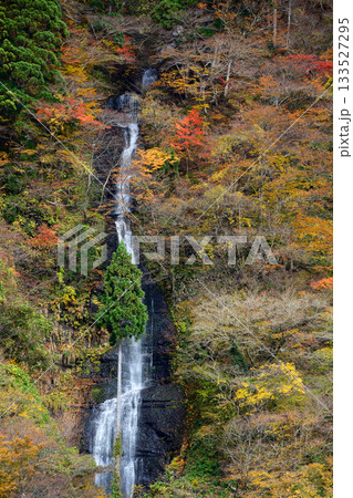 日本の滝百選　白糸の滝　最上峡の秋　山形県 133527295