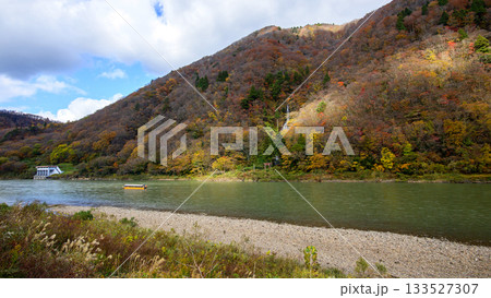 晩秋の最上峡　白糸の滝を通過する舟下り船　山形県 133527307