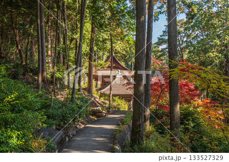 長命寺境内の針葉樹林　滋賀県近江八幡市 133527329