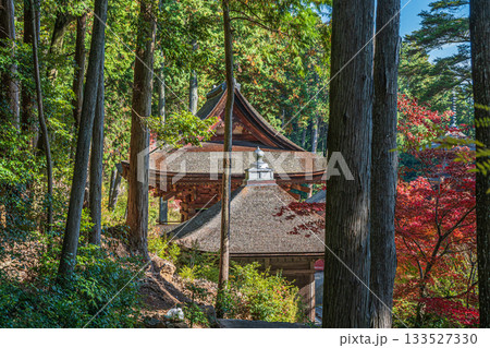 長命寺境内の針葉樹林　滋賀県近江八幡市 133527330