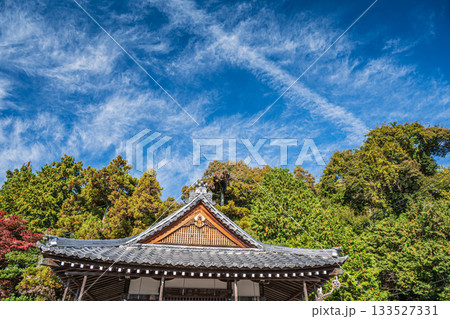 長命寺境内の針葉樹林　滋賀県近江八幡市 133527331