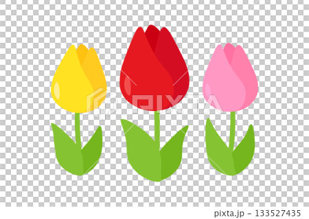  多彩鬱金香 133527435