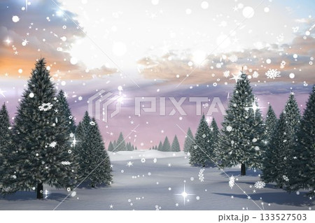 Snowy landscape with fir trees 133527503