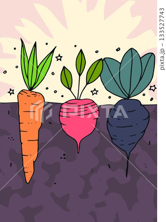 Vector image of various root vegetables Vector image of various root vegetables 133527743
