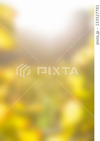 Blurry of autumn trees on a sunny day 133527781