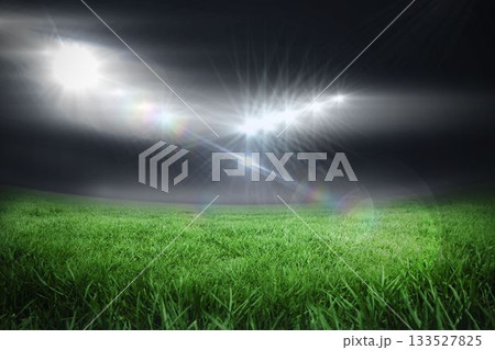 Empty grass sports field is glowing under flat design floodlights with lens flare effects 133527825