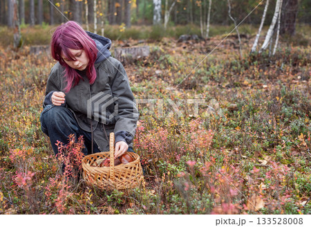 Girl foraging wild mushrooms in autumn forest Girl foraging wild mushrooms in autumn forest 133528008