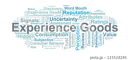 Experience Goods Word Cloud. Core Concepts of Quality Perception and Consumer Evaluation 133528295