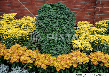 花 フラワー お花 133528635