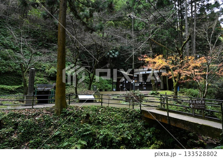 秋の石見銀山　龍源寺間歩入口 133528802