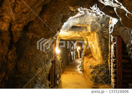 石見銀山　坑道 133528806