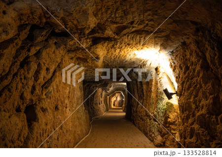 石見銀山　坑道 133528814