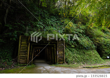 秋の石見銀山　龍源寺間歩出口 133528815