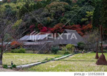 秋の石見銀山　大森銀山地区の集落 133528819