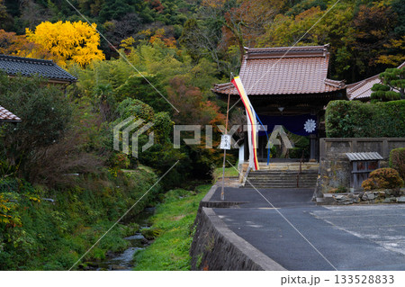 秋の石見銀山　大森銀山地区の町並み 133528833