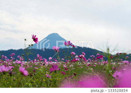 南九州の風景 南九州の風景 133528854