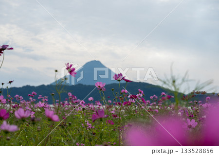 南九州の風景 南九州の風景 133528856