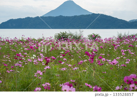 南九州の風景 南九州の風景 133528857