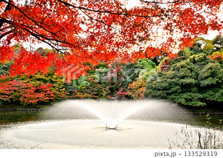高岡古城公園の紅葉　噴水のある風景 133529319