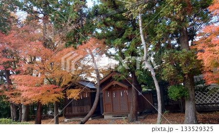 神社と紅葉 神社と紅葉 133529325