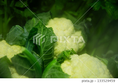 Fresh green vegetables, lettuce leaves, and a background of cauliflower in condensation. A close-up of cabbage storage in a special refrigerator 133529459