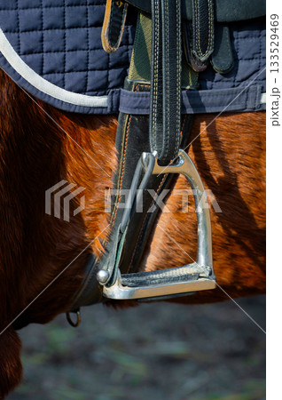 close-up of a clean, new stirrup on a saddled chestnut horse. A view of the assembly on the horse ready for riding close-up of a clean, new stirrup on a saddled chestnut horse. A view of the assembly on the horse ready for riding 133529469