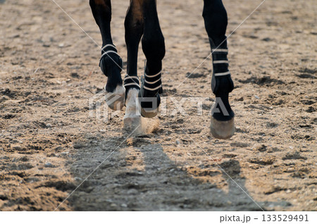 A close-up of a running horse's hoof, filmed at high speed with motion blur. Shallow depth of field. 133529491