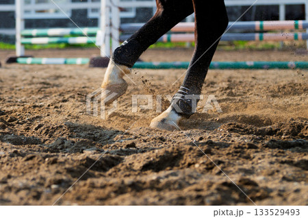 A close-up of a running horse's hoof, filmed at high speed with motion blur. Shallow depth of field. 133529493