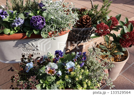 玄関前の花の寄せ植え＆寄せ鉢 133529564