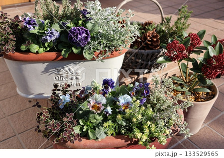 玄関前の花の寄せ植え＆寄せ鉢 133529565
